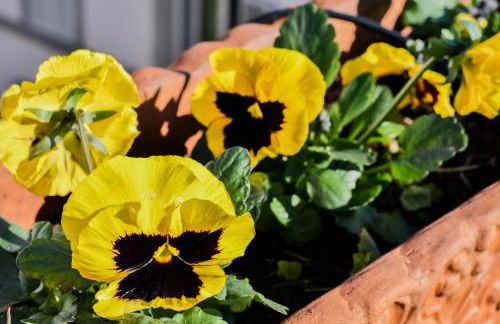 Romantic Terrace - Foto 13