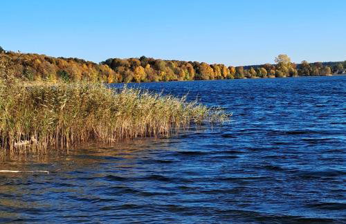 Brzozowe Ostrowie - Foto 29