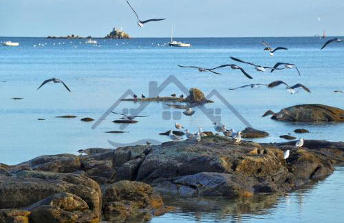 LocaLise - A18 - Appartement avec balcon - Petite vue mer à travers le palmier - Piscine de avril à septembre - Wifi inclus - Animaux admis - Draps inclus - Parking inclus - Foto 29