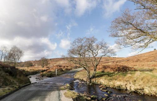Stable Cottage - Photo 16