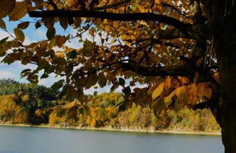 Brama Sanu - z prywatną linią brzegową Jeziora Solińskiego - pomosty - pontony - basen sezonowy - Foto 52