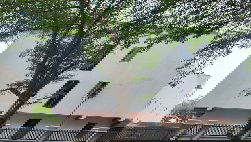 Golphin - Foto 1, Imagen principal