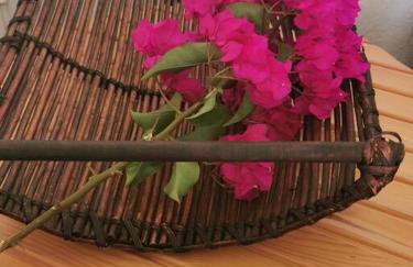 Απέραντο γαλάζιο Le grand blue - Foto 58