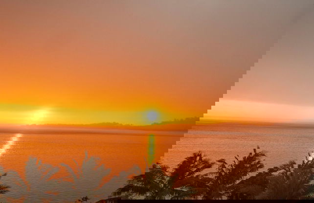 Seafront Apartment Coral Coast - Photo 55