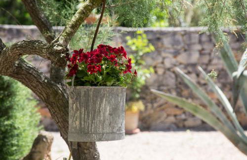 Villa dei Sogni Gallipoli - Foto 72