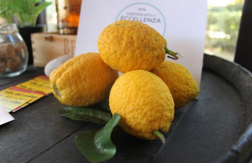 Etna Shelter Holiday House - Foto 55