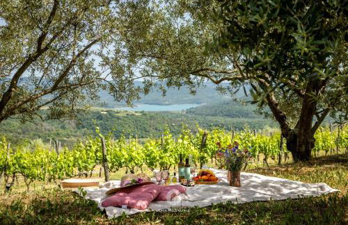 Casa Mille Olivi 2 - House with Private Pool & Lake View near Motovun - Photo 37