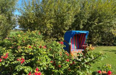 Ferienhof Paulsen - Regenpfeifer - Foto 34