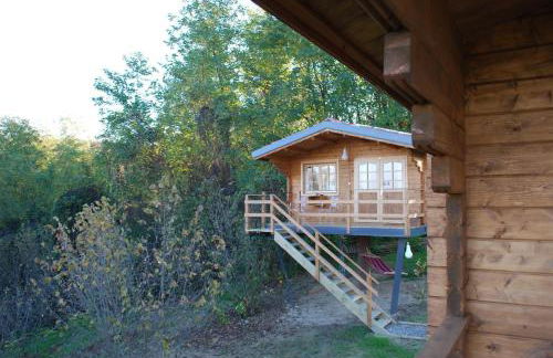 Ecolodge Langhe - Foto 51