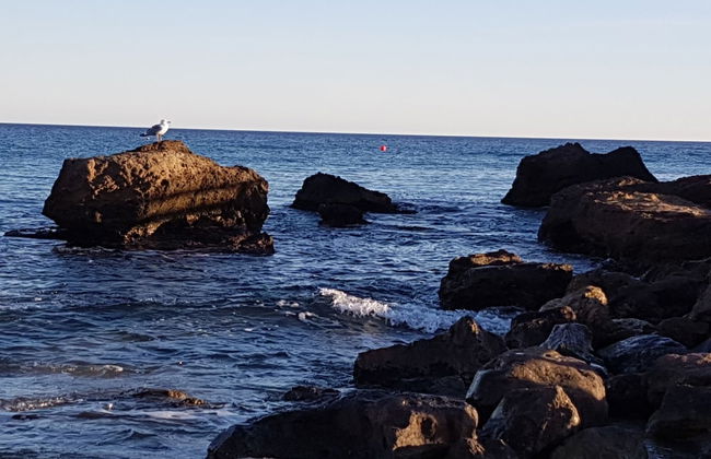 Casa Nidal 2-bed House in San Juan de los Terreros - Photo 12