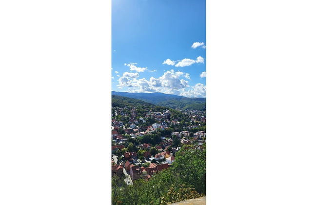 Ferienhaus in Blankenburg - Foto 38