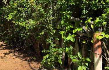 Recanto da Lagoa - Natureza, paz e aconchego - Foto 21