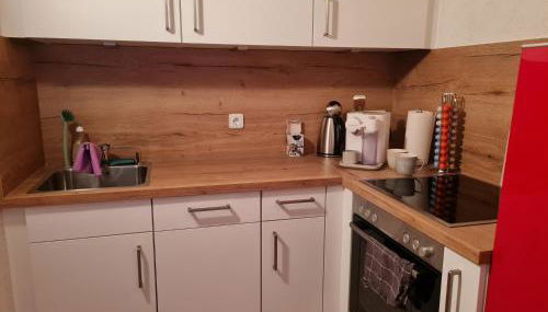 Toller Bergblick vom ruhigen Sonnenbalkon, nur 50m zum See & ÖPNV inklusive - Foto 3, stove, dishwasher