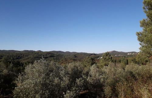 Casas da Lameirancha - Foto 13