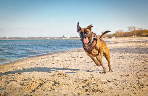 Ferienwohnung Stina - Foto 19