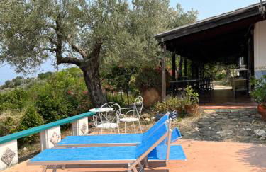 Giardino di Sicilia - Foto 21