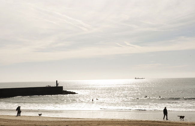 Cushy Apartment with garden in Estoril - Photo 47