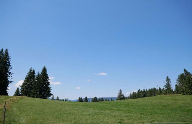 Apartment in Dachsberg-urberg - Foto 37