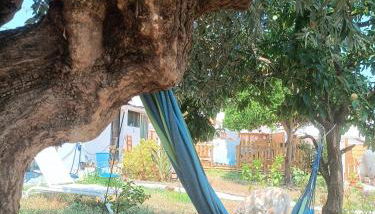 CASA PORTUGUESA piscine 1h15 Lisboa - Foto 4, Garden, sunbed, Garden view