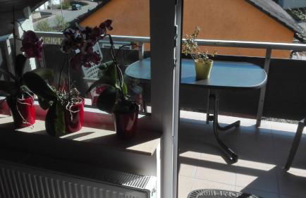 Obere Ferienwohnung Asshoff zwischen Odenwald, Taubertal und Bauland - Foto 9