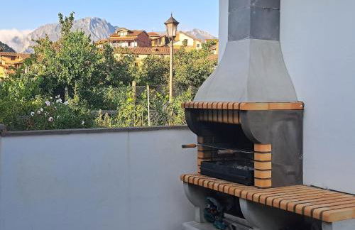 Frente a los Picos de Europa - Foto 20