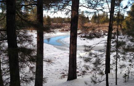 Little Deschutes Wildlife Lodge - Nature's Cabin - Foto 52