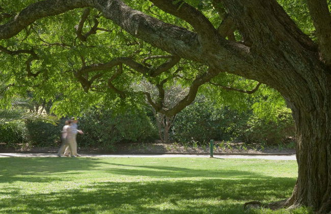 Brisbane Guided Tour - Foto 4