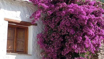 Casa Fortuna - Foto 4