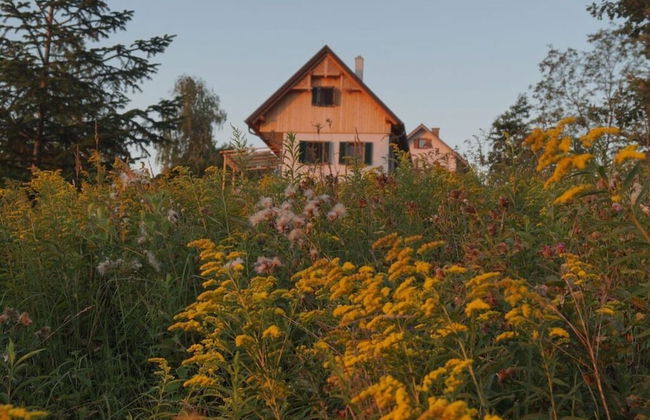 Kellerstockl am Hamerlberg/strem - Foto 34