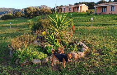 agriturismo gli olivastri appartamento corbezzolo con piscina e vista mare,climatizzatore,wifi - Photo 24