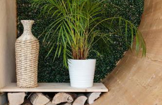 L'Oasis des Coccinelles - Foto 12