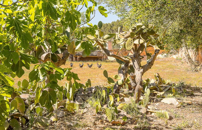 Villa Son Fornes - Foto 49