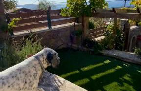 Panorama Traditional Village House - Foto 31