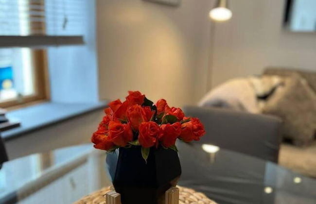 Modern City Center 2 Bedroom Apartment - Foto 37