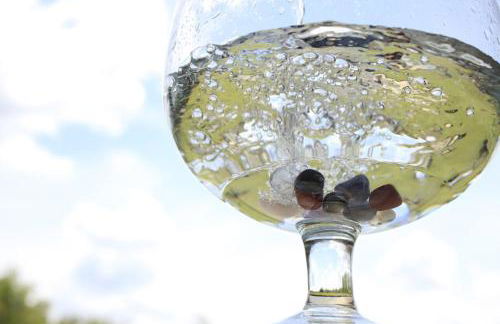 Riserva Privata San Settimio - Foto 23