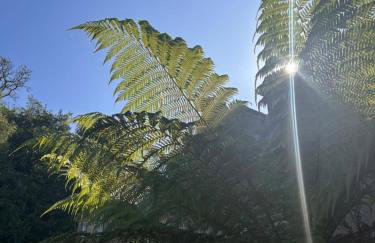 Moorleigh House Entire Property Sleeps 10 - Foto 67