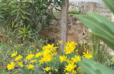 Villa Maxima Lavrio - Foto 11