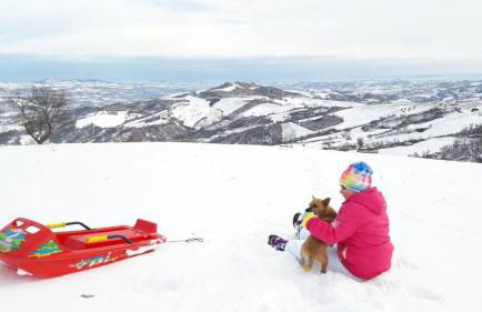 Azienda Agrituristica Colle San Giorgio - Foto 25