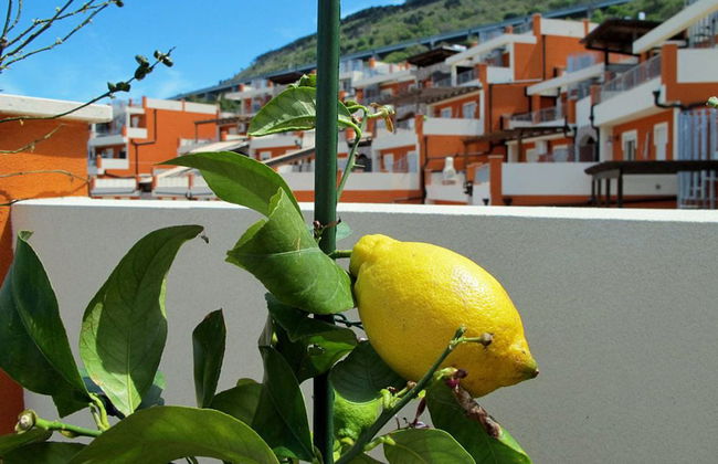 Italian Charm, Modern Elegance in Pizzo - Foto 30