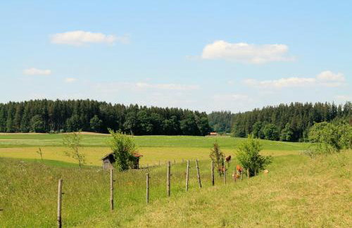 Ferienwohnung Pölzl - Photo 8