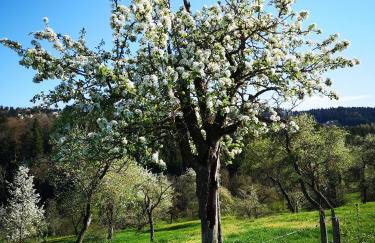 Ferienhaus am Hummelberghof - Foto 12