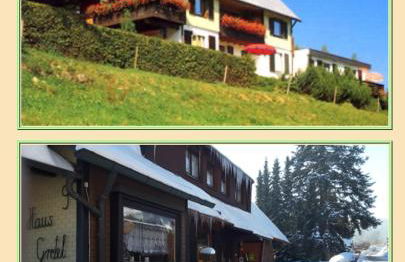 Ferienhaus Rose mit Sauna und HS-Card - Greschuk Apartments - Photo 19