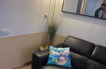 maison luxe disney aeroport tillé 2 a 5 personnes - Foto 20