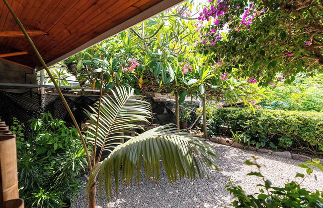 Beau Bamboo - Foto 59