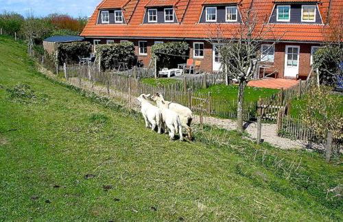 Ferienhaus Kiebitz - Foto 31