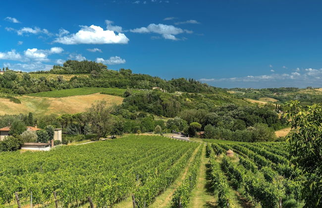 Tenuta Sovestro - Agriturismo e Winery - Foto 80