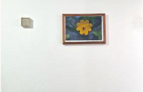 Apartamento Barra carnaval 2025 - Foto 16