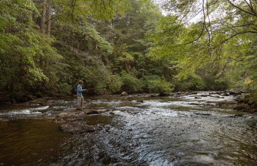 Driftwood Rapids Villa - Foto 2