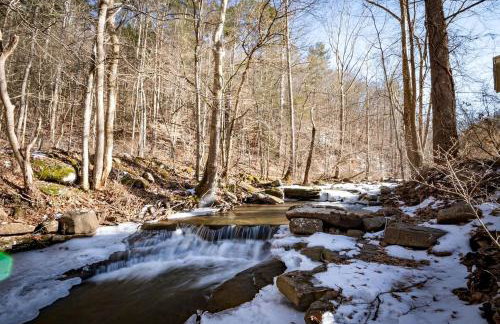 Quaint Cozy Cottage Perfect for a Peaceful Getaway in West Virginia - Foto 34