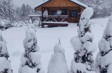 Mały Domek DOMARKA w BIESZCZADACH - Foto 39